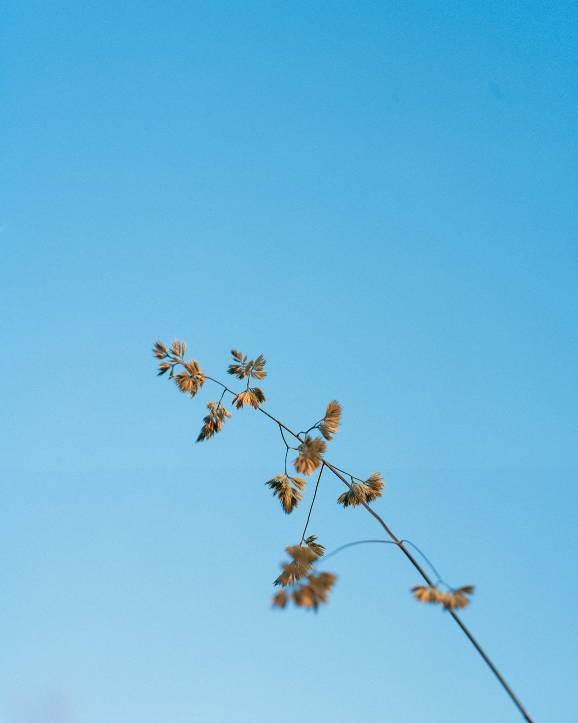 aw_homepage-2