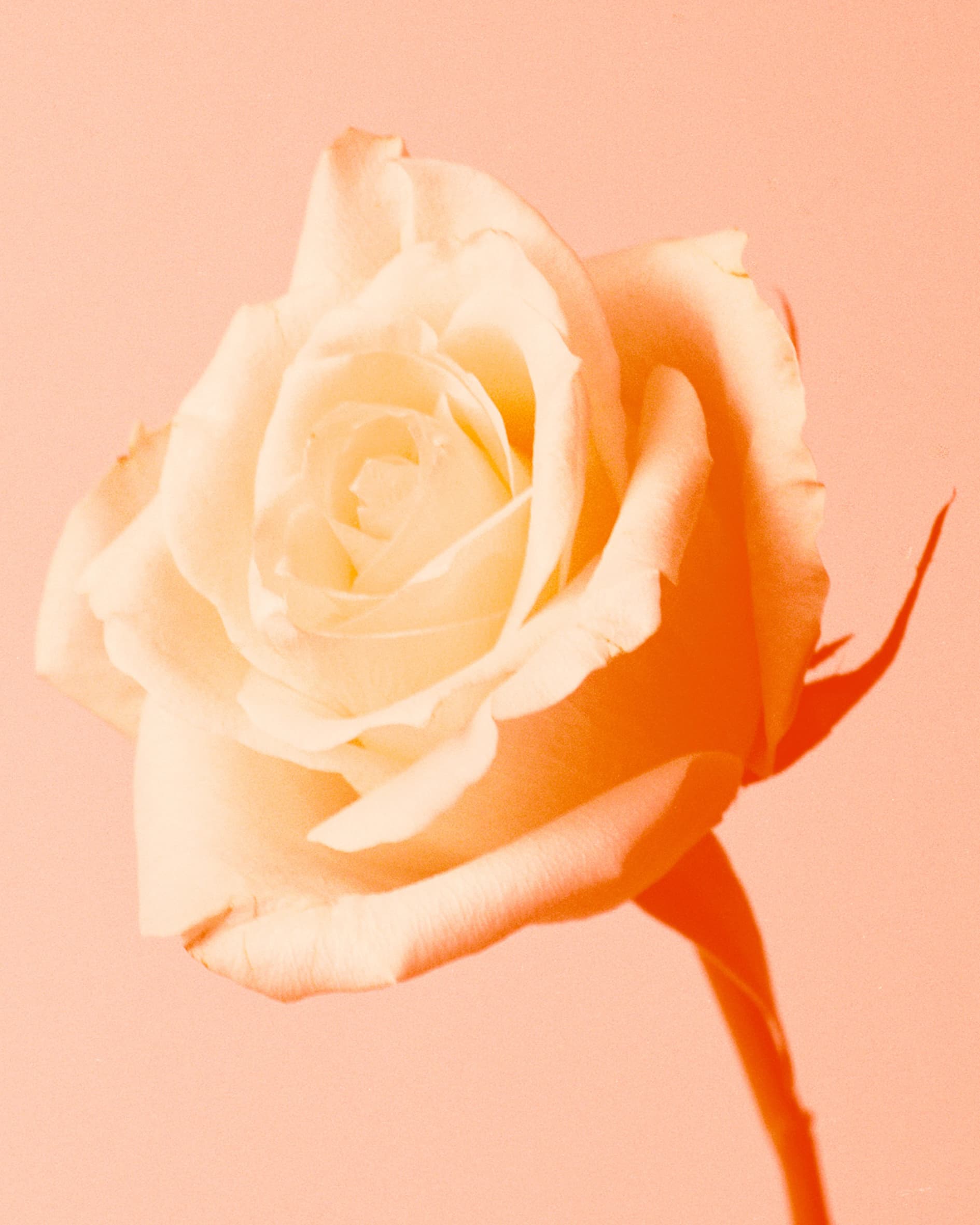aw_homepage-5