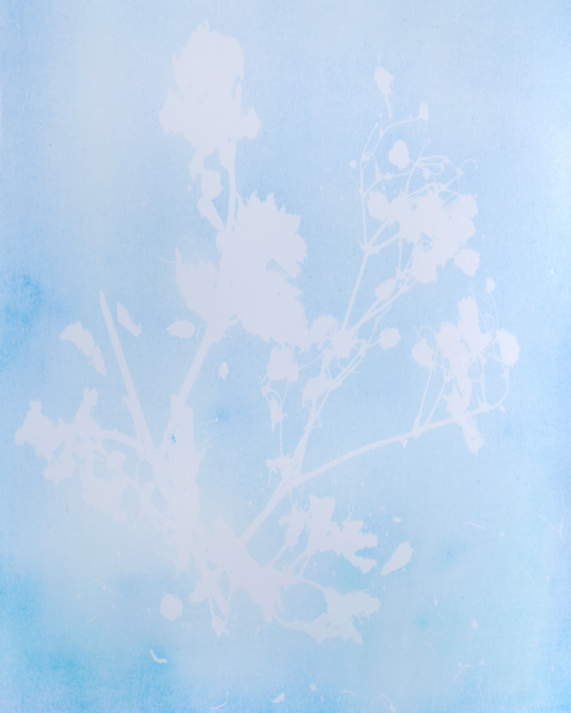 aw_homepage-8