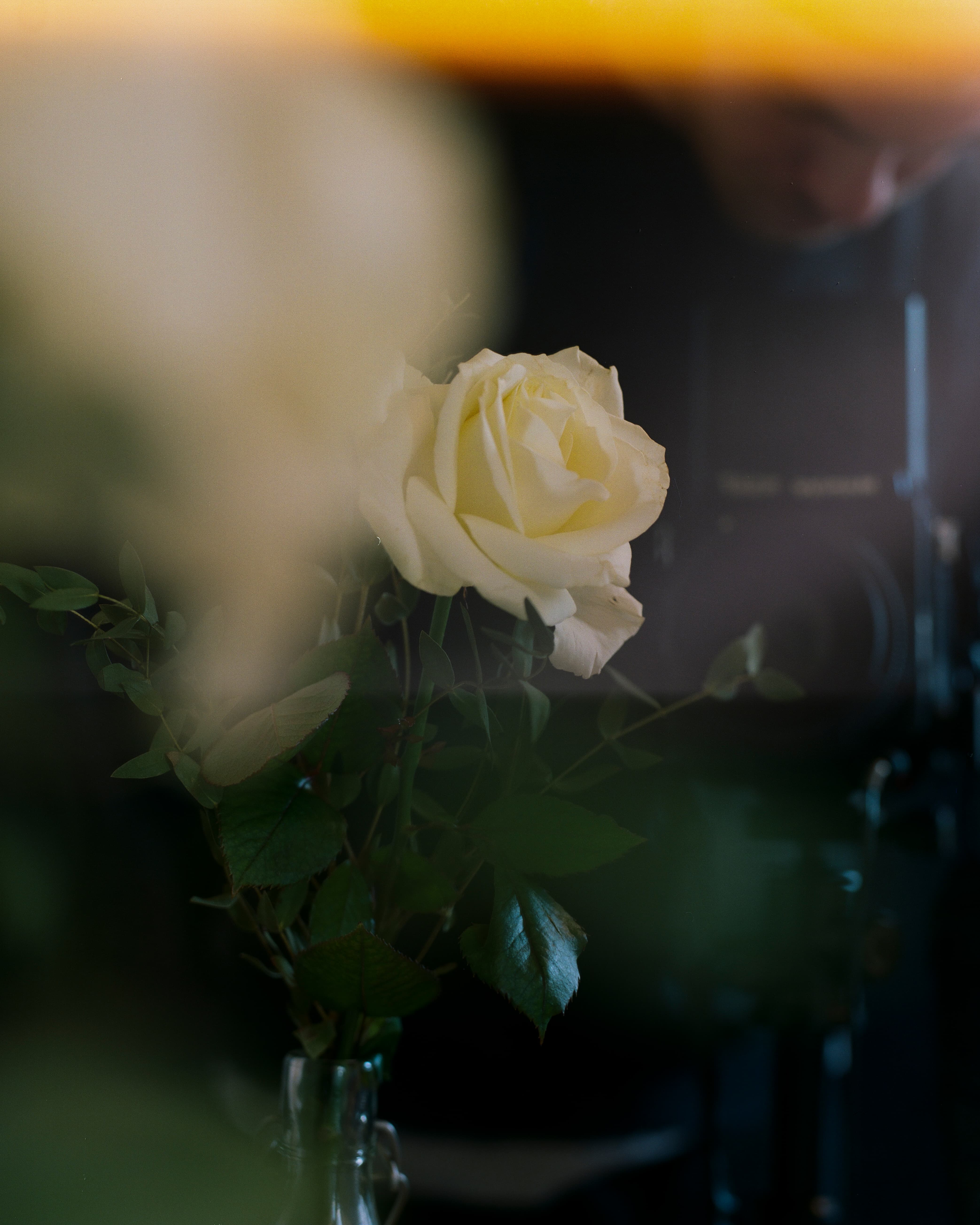 aw_portfolio-1_4